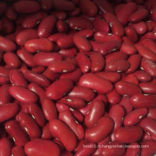 Qualité supérieure à propos de Long Ship Red Bean